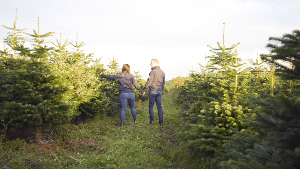 A young couple at Legananny Christmas Trees choosing a Christmas Tree for their family home to celebrate Christmas.